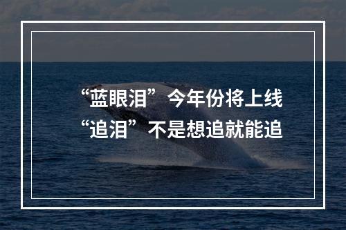 “蓝眼泪”今年份将上线 “追泪”不是想追就能追