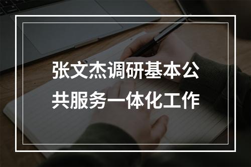 张文杰调研基本公共服务一体化工作