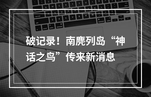 破记录！南麂列岛“神话之鸟”传来新消息