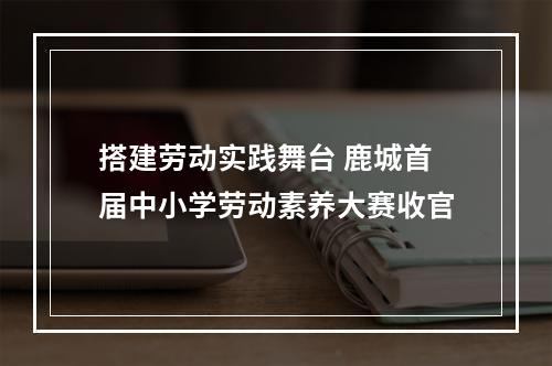搭建劳动实践舞台 鹿城首届中小学劳动素养大赛收官