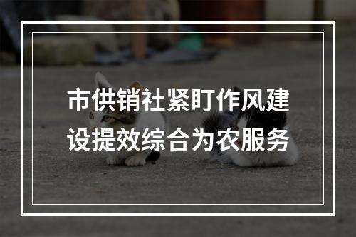 市供销社紧盯作风建设提效综合为农服务