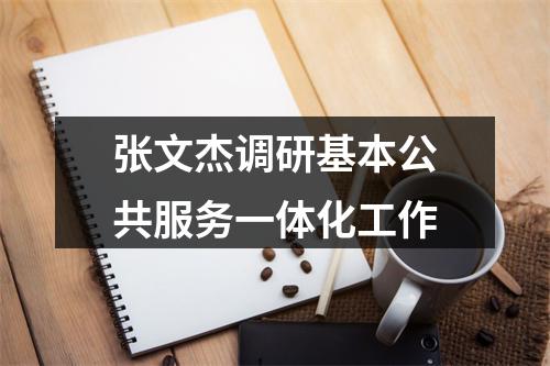 张文杰调研基本公共服务一体化工作