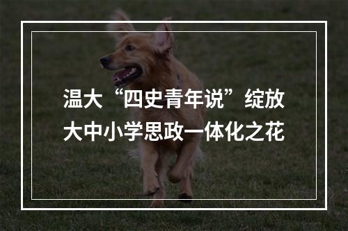 温大“四史青年说”绽放大中小学思政一体化之花