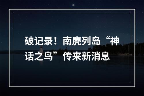 破记录！南麂列岛“神话之鸟”传来新消息