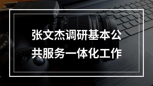 张文杰调研基本公共服务一体化工作