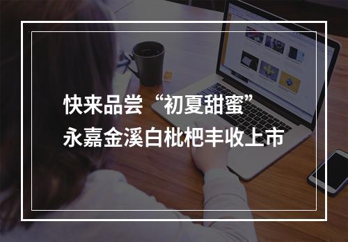 快来品尝“初夏甜蜜” 永嘉金溪白枇杷丰收上市