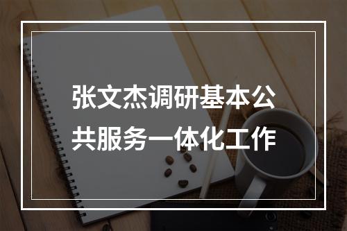 张文杰调研基本公共服务一体化工作