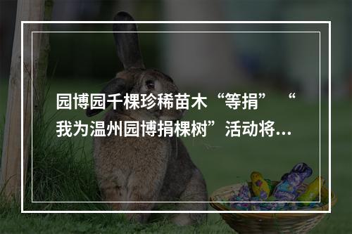 园博园千棵珍稀苗木“等捐” “我为温州园博捐棵树”活动将持续至明年三月