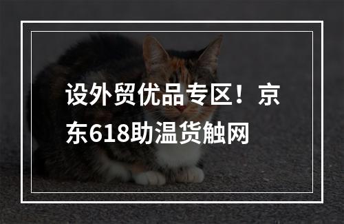 设外贸优品专区！京东618助温货触网