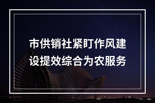 市供销社紧盯作风建设提效综合为农服务