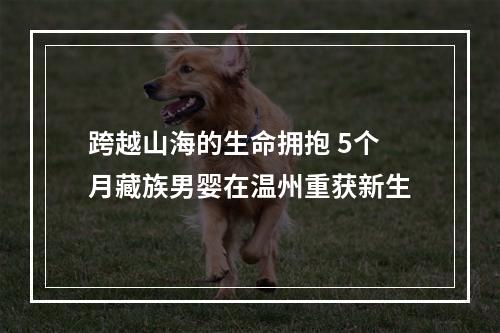 跨越山海的生命拥抱 5个月藏族男婴在温州重获新生