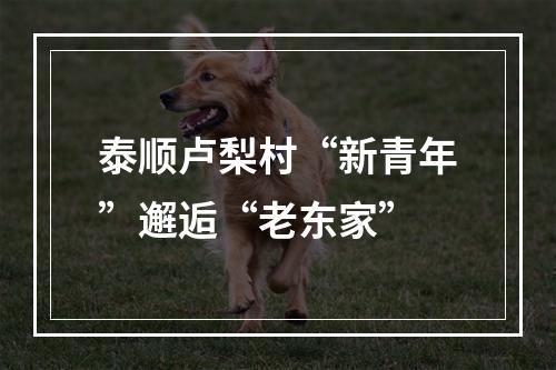 泰顺卢梨村“新青年”邂逅“老东家”