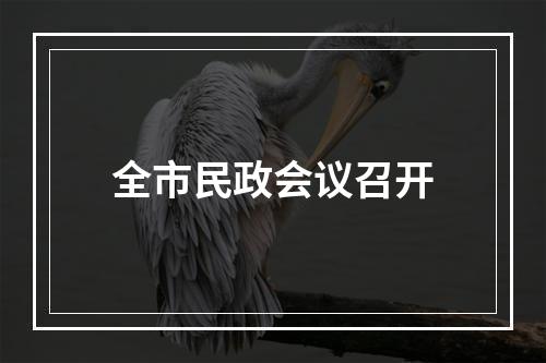 全市民政会议召开