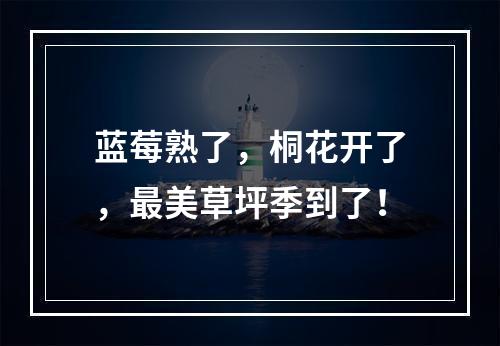 蓝莓熟了，桐花开了，最美草坪季到了！