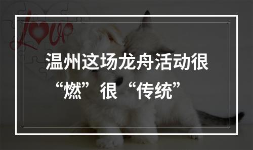 温州这场龙舟活动很“燃”很“传统”