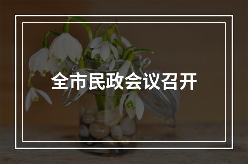 全市民政会议召开