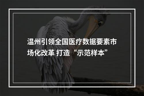 温州引领全国医疗数据要素市场化改革 打造“示范样本”