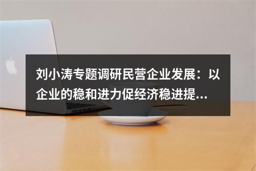 刘小涛专题调研民营企业发展：以企业的稳和进力促经济稳进提质