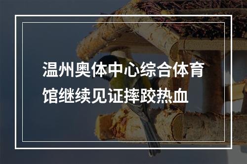 温州奥体中心综合体育馆继续见证摔跤热血
