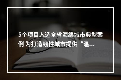 5个项目入选全省海绵城市典型案例 为打造韧性城市提供“温州样本”