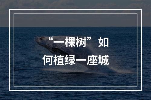 “一棵树”如何植绿一座城