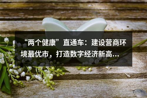 “两个健康”直通车：建设营商环境最优市，打造数字经济新高地！