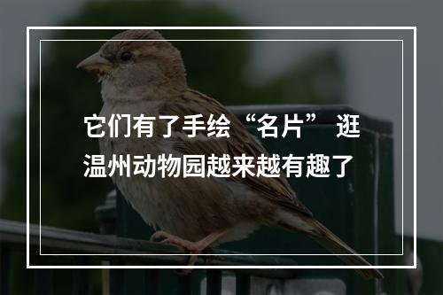 它们有了手绘“名片” 逛温州动物园越来越有趣了