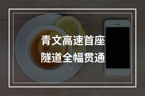 青文高速首座隧道全幅贯通