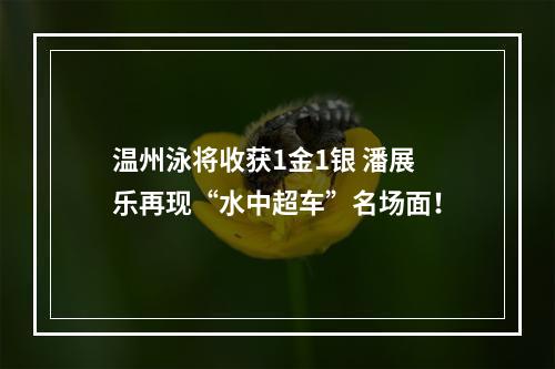 温州泳将收获1金1银 潘展乐再现“水中超车”名场面！