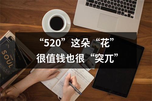 “520”这朵“花” 很值钱也很“突兀”