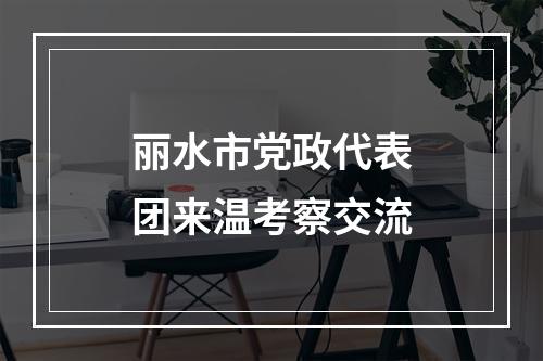 丽水市党政代表团来温考察交流