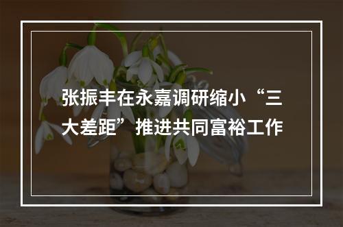 张振丰在永嘉调研缩小“三大差距”推进共同富裕工作