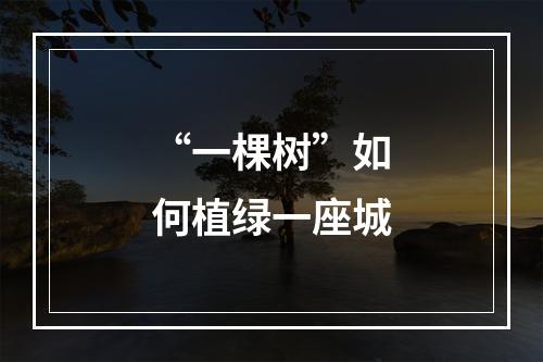 “一棵树”如何植绿一座城