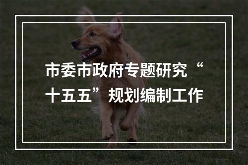 市委市政府专题研究“十五五”规划编制工作