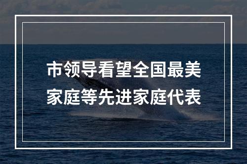 市领导看望全国最美家庭等先进家庭代表
