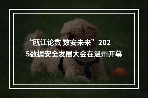 “瓯江论数 数安未来”2025数据安全发展大会在温州开幕