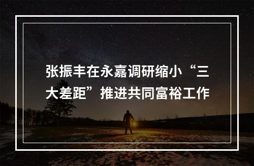 张振丰在永嘉调研缩小“三大差距”推进共同富裕工作