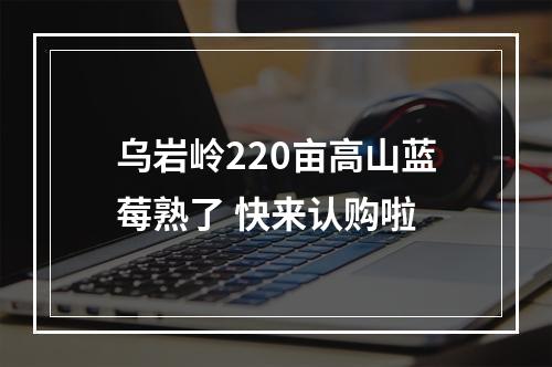 乌岩岭220亩高山蓝莓熟了 快来认购啦