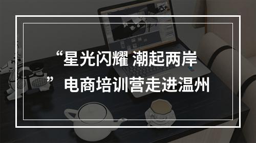 “星光闪耀 潮起两岸”电商培训营走进温州