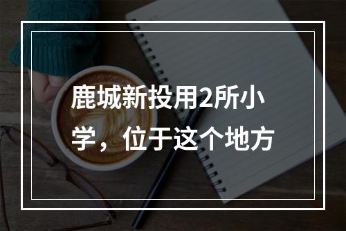 鹿城新投用2所小学，位于这个地方
