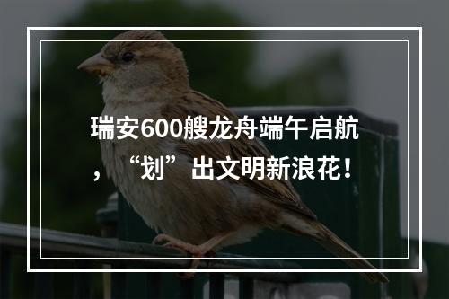 瑞安600艘龙舟端午启航，“划”出文明新浪花！