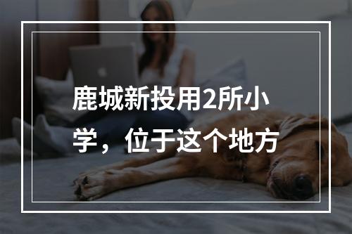 鹿城新投用2所小学，位于这个地方