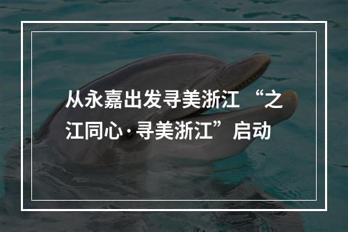从永嘉出发寻美浙江 “之江同心·寻美浙江”启动