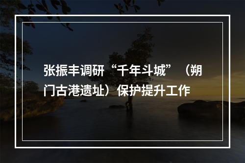 张振丰调研“千年斗城”（朔门古港遗址）保护提升工作