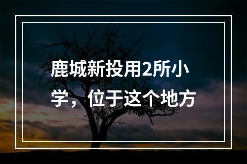 鹿城新投用2所小学，位于这个地方