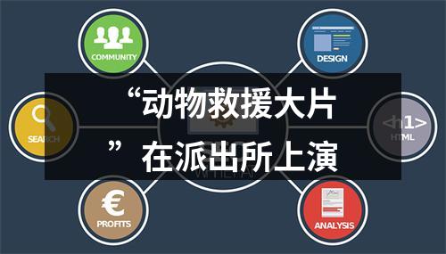 “动物救援大片”在派出所上演