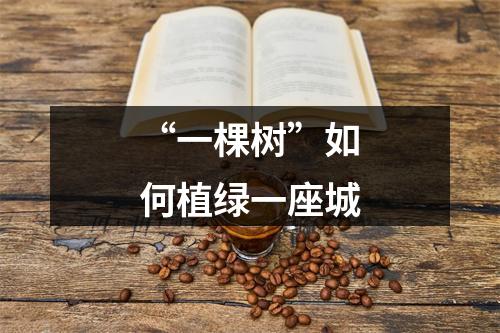 “一棵树”如何植绿一座城