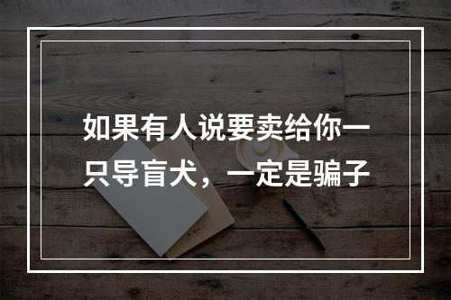 如果有人说要卖给你一只导盲犬，一定是骗子