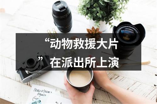 “动物救援大片”在派出所上演