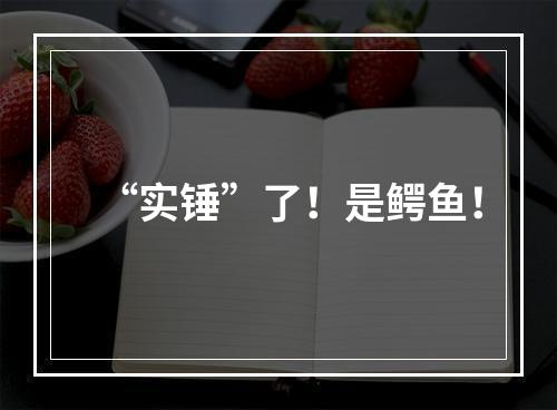 “实锤”了！是鳄鱼！